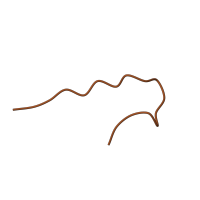 The deposited structure of PDB entry 5o5b contains 1 copy of Pfam domain PF02226 (Picornavirus coat protein (VP4)) in Capsid protein VP4. Showing 1 copy in chain D [auth 4].