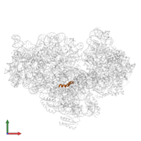 Ribosomal protein mS38 C-terminal domain-containing protein in PDB entry 5o5j, assembly 1, front view.