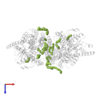 (2R)-2,3-dihydroxypropyl (7Z)-hexadec-7-enoate in PDB entry 5oc9, assembly 1, top view.