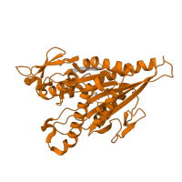 The deposited structure of PDB entry 5ogc contains 1 copy of Pfam domain PF00225 (Kinesin motor domain) in Kinesin-like protein KIF18A. Showing 1 copy in chain A [auth K].