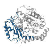 The deposited structure of PDB entry 5ogc contains 1 copy of Pfam domain PF03953 (Tubulin C-terminal domain) in Tubulin alpha-1B chain. Showing 1 copy in chain B [auth A].