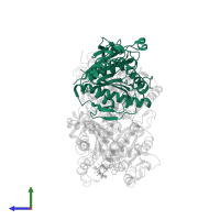 Kinesin-like protein KIF18A in PDB entry 5ogc, assembly 1, side view.