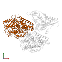 Tubulin alpha-1B chain in PDB entry 5ogc, assembly 1, front view.