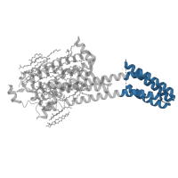 The deposited structure of PDB entry 5olh contains 1 copy of Pfam domain PF07361 (Cytochrome b562) in Adenosine receptor A2a. Showing 1 copy in chain A.