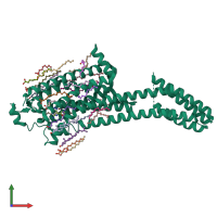 PDB entry 5olh coloured by chain, front view.