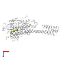 4-(3,3-dimethylbutanoylamino)-3,5-bis(fluoranyl)-~{N}-(1,3-thiazol-2-yl)benzamide in PDB entry 5olv, assembly 1, top view.