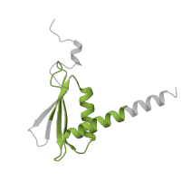 The deposited structure of PDB entry 5oqm contains 1 copy of Pfam domain PF01193 (RNA polymerase Rpb3/Rpb11 dimerisation domain) in DNA-directed RNA polymerase II subunit RPB11. Showing 1 copy in chain K.