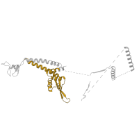 The deposited structure of PDB entry 5oqm contains 1 copy of Pfam domain PF02002 (TFIIE alpha subunit) in Transcription initiation factor IIE subunit alpha. Showing 1 copy in chain U [auth W].