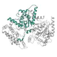 The deposited structure of PDB entry 5oqm contains 1 copy of Pfam domain PF06733 (DEAD_2) in General transcription and DNA repair factor IIH helicase subunit XPD. Showing 1 copy in chain W [auth 0].