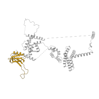 The deposited structure of PDB entry 5oqm contains 1 copy of Pfam domain PF08567 (TFIIH p62 subunit, N-terminal domain) in General transcription and DNA repair factor IIH subunit TFB1. Showing 1 copy in chain X [auth 1].