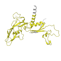 The deposited structure of PDB entry 5oqm contains 1 copy of Pfam domain PF01193 (RNA polymerase Rpb3/Rpb11 dimerisation domain) in DNA-directed RNA polymerase II subunit RPB3. Showing 1 copy in chain C.