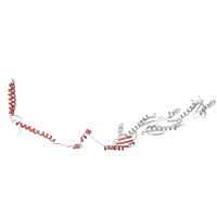 The deposited structure of PDB entry 5oqm contains 1 copy of Pfam domain PF08638 (Mediator complex subunit MED14) in Mediator of RNA polymerase II transcription subunit 14. Showing 1 copy in chain QA [auth l].