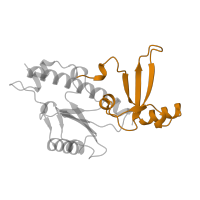 The deposited structure of PDB entry 5oqm contains 1 copy of Pfam domain PF01191 (RNA polymerase Rpb5, C-terminal domain) in DNA-directed RNA polymerases I, II, and III subunit RPABC1. Showing 1 copy in chain E.