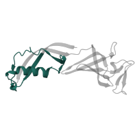 The deposited structure of PDB entry 5oqm contains 1 copy of Pfam domain PF03876 (SHS2 domain found in N terminus of Rpb7p/Rpc25p/MJ0397) in DNA-directed RNA polymerase II subunit RPB7. Showing 1 copy in chain G.