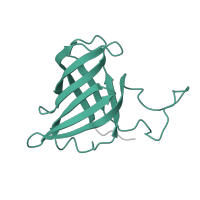 The deposited structure of PDB entry 5oqm contains 1 copy of Pfam domain PF03870 (RNA polymerase Rpb8) in DNA-directed RNA polymerases I, II, and III subunit RPABC3. Showing 1 copy in chain H.