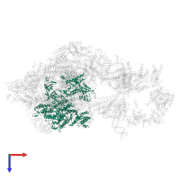 DNA-directed RNA polymerase II subunit RPB1 in PDB entry 5oqm, assembly 1, top view.