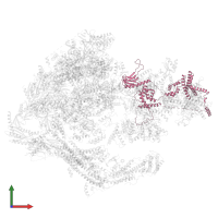 General transcription and DNA repair factor IIH subunit TFB1 in PDB entry 5oqm, assembly 1, front view.