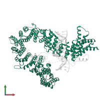 Condensin complex subunit 3 in PDB entry 5oqn, assembly 1, front view.