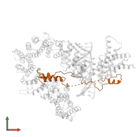 Condensin complex subunit 2 in PDB entry 5oqn, assembly 1, front view.
