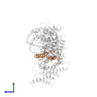 Condensin complex subunit 2 in PDB entry 5oqn, assembly 1, side view.