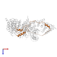 Condensin complex subunit 2 in PDB entry 5oqn, assembly 1, top view.
