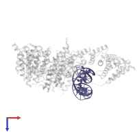 DNA (5'-D(*GP*AP*TP*GP*TP*GP*TP*AP*GP*CP*TP*AP*CP*AP*CP*AP*TP*C)-3') in PDB entry 5oqn, assembly 1, top view.