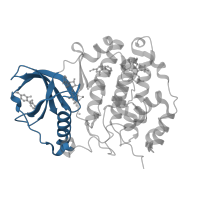 The deposited structure of PDB entry 5orj contains 2 copies of CATH domain 3.30.200.20 (Phosphorylase Kinase; domain 1) in Casein kinase II subunit alpha. Showing 1 copy in chain B [auth A].