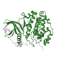 The deposited structure of PDB entry 5orj contains 2 copies of Pfam domain PF00069 (Protein kinase domain) in Casein kinase II subunit alpha. Showing 1 copy in chain B [auth A].