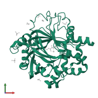 Lysine-specific demethylase 4D in PDB entry 5plv, assembly 1, front view.