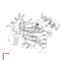 ZINC ION in PDB entry 5pnh, assembly 1, top view.