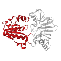 The deposited structure of PDB entry 5q1z contains 1 copy of CATH domain 3.40.50.12650 (Rossmann fold) in DNA cross-link repair 1A protein. Showing 1 copy in chain A.