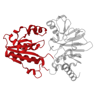 The deposited structure of PDB entry 5q8z contains 1 copy of CATH domain 3.40.50.12650 (Rossmann fold) in DNA cross-link repair 1A protein. Showing 1 copy in chain A.
