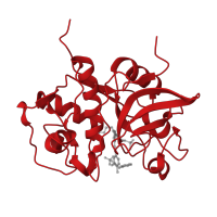 The deposited structure of PDB entry 5qcg contains 2 copies of CATH domain 3.90.70.10 (Cathepsin B; Chain A) in Cathepsin S. Showing 1 copy in chain B.