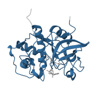 The deposited structure of PDB entry 5qcg contains 2 copies of Pfam domain PF00112 (Papain family cysteine protease) in Cathepsin S. Showing 1 copy in chain B.