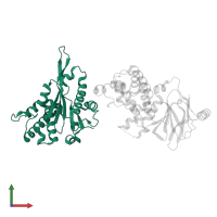 Pre-mRNA-splicing factor 8 in PDB entry 5qz8, assembly 1, front view.