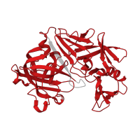 The deposited structure of PDB entry 5r35 contains 1 copy of Pfam domain PF00026 (Eukaryotic aspartyl protease) in Endothiapepsin. Showing 1 copy in chain A.