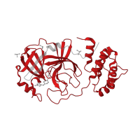 The deposited structure of PDB entry 5rfh contains 1 copy of Pfam domain PF05409 (Coronavirus endopeptidase C30) in 3C-like proteinase nsp5. Showing 1 copy in chain A.
