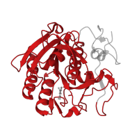 The deposited structure of PDB entry 5rol contains 1 copy of Pfam domain PF00082 (Subtilase family) in Proteinase K. Showing 1 copy in chain A.