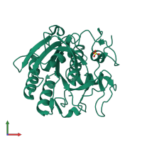 Monomeric assembly 1 of PDB entry 5rou coloured by chemically distinct molecules, front view.