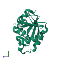 Papain-like protease nsp3 in PDB entry 5s3d, assembly 1, side view.