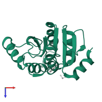 Papain-like protease nsp3 in PDB entry 5s42, assembly 2, top view.