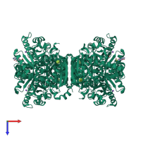 Homo tetrameric assembly 2 of PDB entry 5sce coloured by chemically distinct molecules, top view.