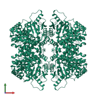 Pyruvate kinase PKLR in PDB entry 5scf, assembly 1, front view.