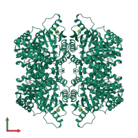 Homo tetrameric assembly 1 of PDB entry 5sci coloured by chemically distinct molecules, front view.