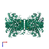 Homo tetrameric assembly 1 of PDB entry 5sci coloured by chemically distinct molecules, top view.