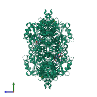 Homo tetrameric assembly 2 of PDB entry 5sci coloured by chemically distinct molecules, side view.