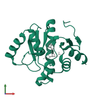 Papain-like protease nsp3 in PDB entry 5soi, assembly 1, front view.