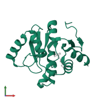 Papain-like protease nsp3 in PDB entry 5son, assembly 1, front view.