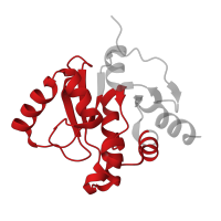 The deposited structure of PDB entry 5sos contains 2 copies of Pfam domain PF01661 (Macro domain) in Papain-like protease nsp3. Showing 1 copy in chain B.