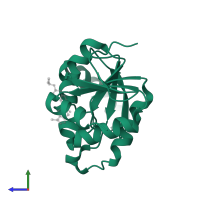 Papain-like protease nsp3 in PDB entry 5sp8, assembly 1, side view.